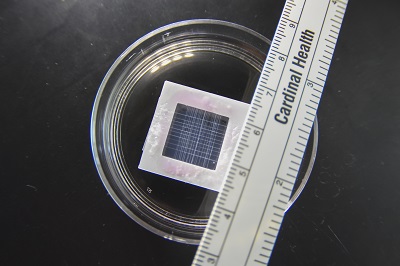 WPI heart patch close up