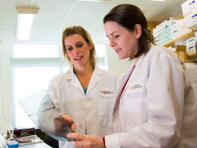 Manning and Nicole Hermance, a technician in the Manning Lab, go over the results of analysis of proteins detected in dividing cells.