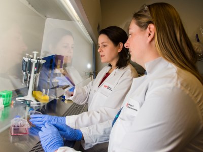 Manning and graduate student Liz Crowley prepare cell cultures for analysis.