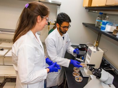 McKee and Abhi Adhikari, a former master’s candidate, use particle bombarder, also known as a gene gun, to genetically transform Taxus cells.
