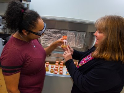 Roberts and Dasia Aldarondo ’19 inspect a suspension culture of Pacific yew (Taxus) cells taken from an incubator.