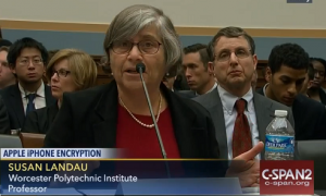 Susan Landau urged Congress to weigh the intelligence gains that might be realized by unlocking a single phone against the potential risks of making all smartphones vulnerable to attack.
